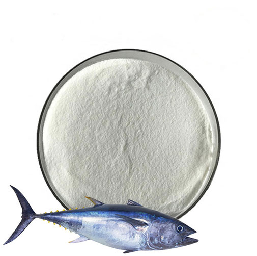 Fish Collagen Powder